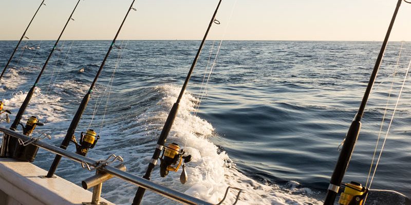 Charter Fishing In the Gulf of Mexico for Yellowfin Tuna