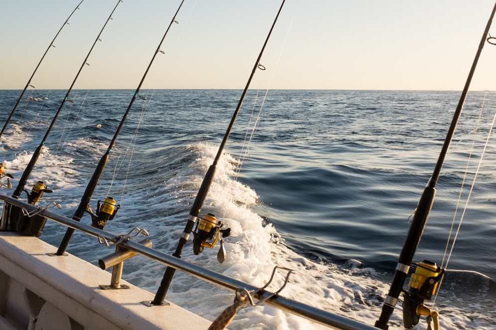 Heading out to deeper ocean on a fishing charter