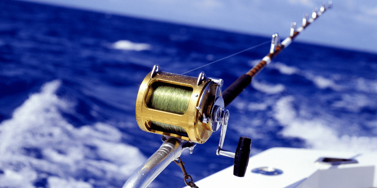 What to Expect on a Louisiana Fishing Charter